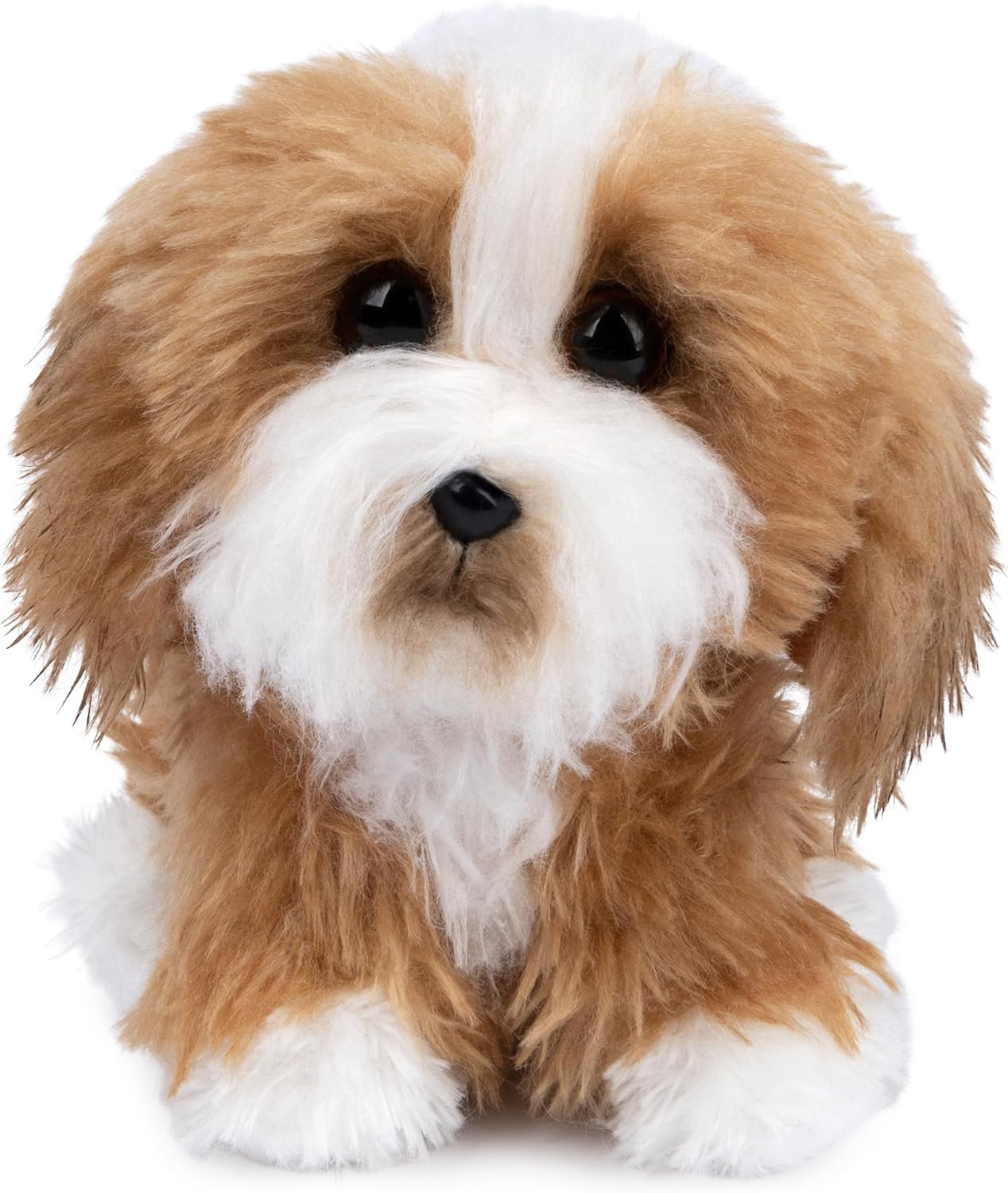 The World’s Cutest Dog, Boo & Friends Collection Yorkie Puppy, Stuffed Animal for Ages 1 and Up, 5”